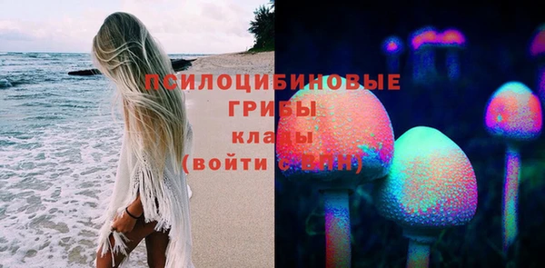 круглые Алзамай