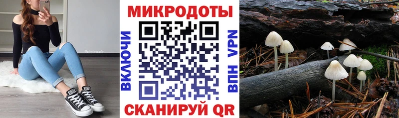 Галлюциногенные грибы MAGIC MUSHROOMS  Шацк 